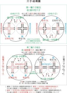 介子-內部結構模型圖
