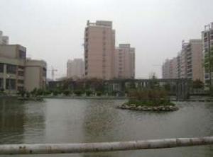 苜中路小區 苜中路小區