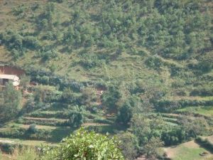 區落自然村 區落自然村