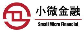 廣州小微投資諮詢有限公司 廣州小微投資諮詢有限公司