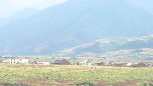 金龍坪街道 金龍坪街道