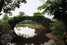 義烏古月橋 義烏古月橋