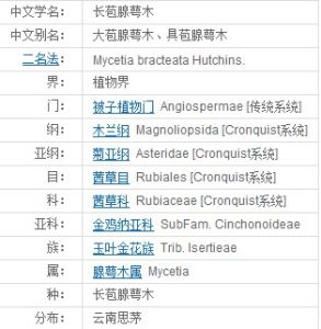 長苞腺萼木 長苞腺萼木