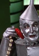 綠野仙蹤[美國1939年維克多·弗萊明執導電影]