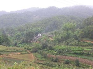 麂箐自然村 麂箐自然村