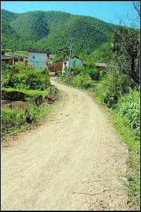 苴力三岔路村 苴力三岔路村