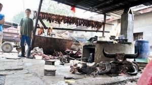 化學牛筋 化學牛筋