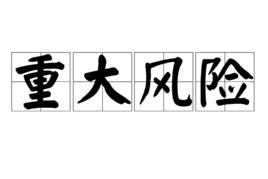 重大風險 重大風險