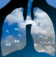 急性肺炎 急性肺炎