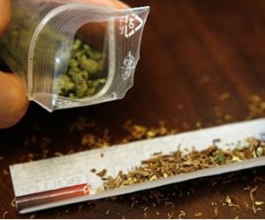 大麻合法化 大麻合法化