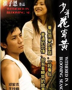 《少年花草黃》 《少年花草黃》