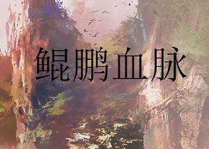 鯤鵬血脈 鯤鵬血脈