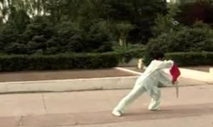 太極十三刀 太極十三刀