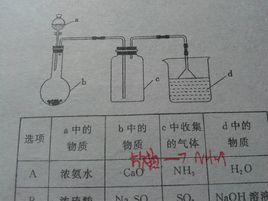 氨氣尾氣處理裝置 氨氣尾氣處理裝置