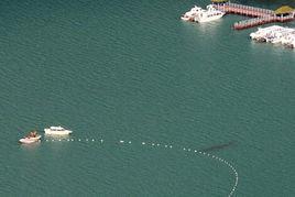 喀納斯湖水怪 喀納斯湖水怪