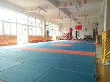 重慶郵電大學移通學院武道協會