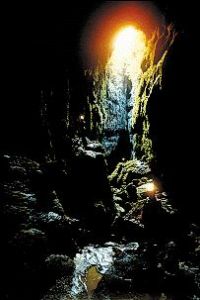 螢火蟲洞 螢火蟲洞