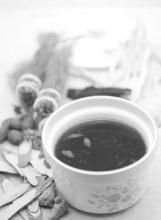 茵陳四逆湯 茵陳四逆湯