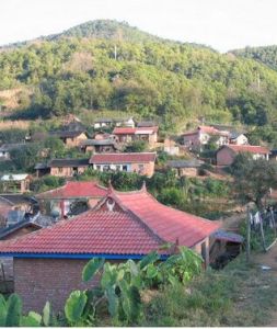 央公來自然村 央公來自然村