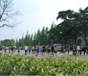 止馬嶺社區 止馬嶺社區