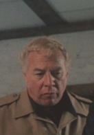 人證[1977年佐藤純彌執導日本電影]