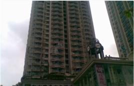 金海岸小區 金海岸小區