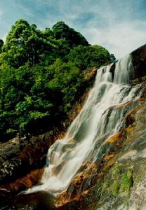 梁野山國家自然保護區