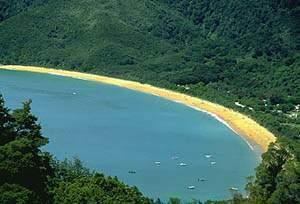 歐洲華僑華人社團 歐洲華僑華人社團