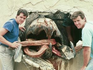 《異形魔怪》劇照