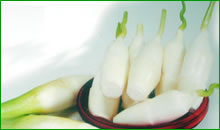 （圖）湖米茭白