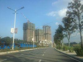 金沙新區 金沙新區