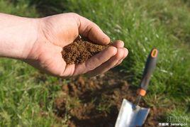 黏土土壤 黏土土壤