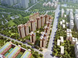 大唐·天悅 大唐·天悅