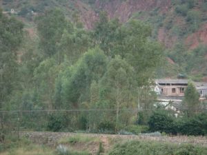 得勝坡腳村 得勝坡腳村