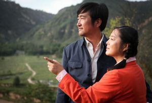 《歲歲年年柿柿紅》劇照