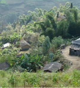 戶怕自然村 戶怕自然村