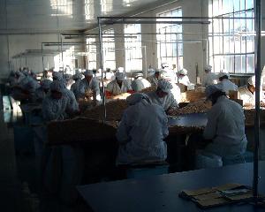 大連鑫奇科技發展有限公司