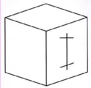 （圖）盒子幻覺