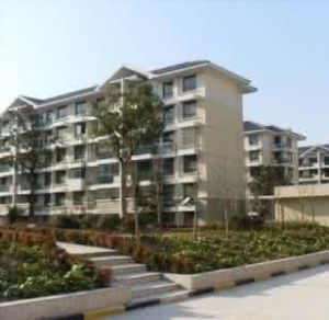 和合新村 和合新村