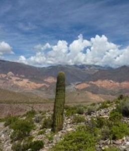 塔夫拉達·德烏瑪瓦卡 塔夫拉達·德烏瑪瓦卡