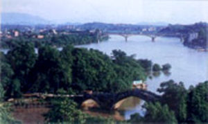 道縣橋頭林場 道縣橋頭林場