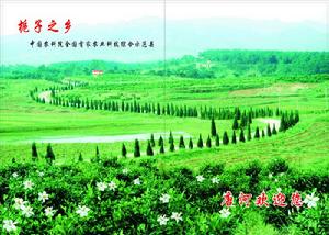 中國梔子之鄉