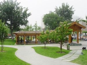 長椿苑公園 長椿苑公園