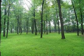 北王力鄉 北王力鄉