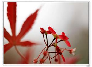 南昌人民公園風景