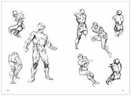 伯里曼人體結構教學 伯里曼人體結構教學