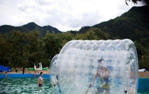 水魔方動漫水世界 水魔方動漫水世界