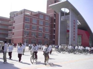 青島東澤職業技術學校 青島東澤職業技術學校