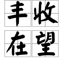 豐收在望 豐收在望