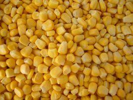 甜玉米粒 甜玉米粒